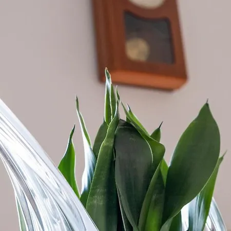 Casa O Limoeiro - Charming Village 폰테 데 리마