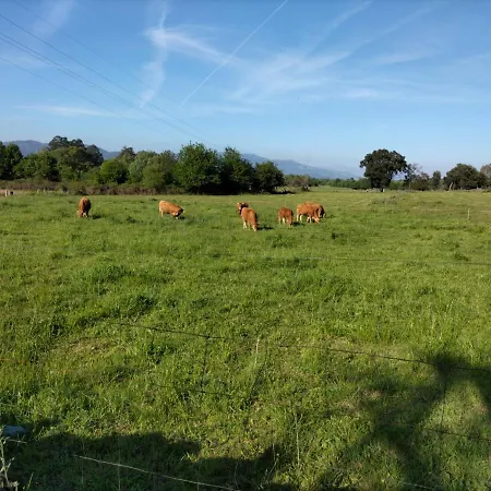 Casa O Limoeiro - Charming Village Apartament