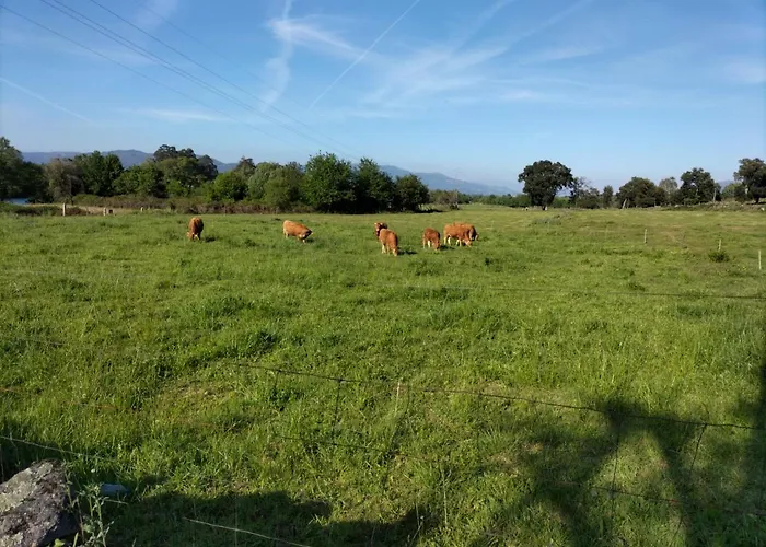 Casa O Limoeiro - Charming Village Apartamento
